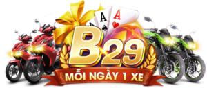 logo b29
